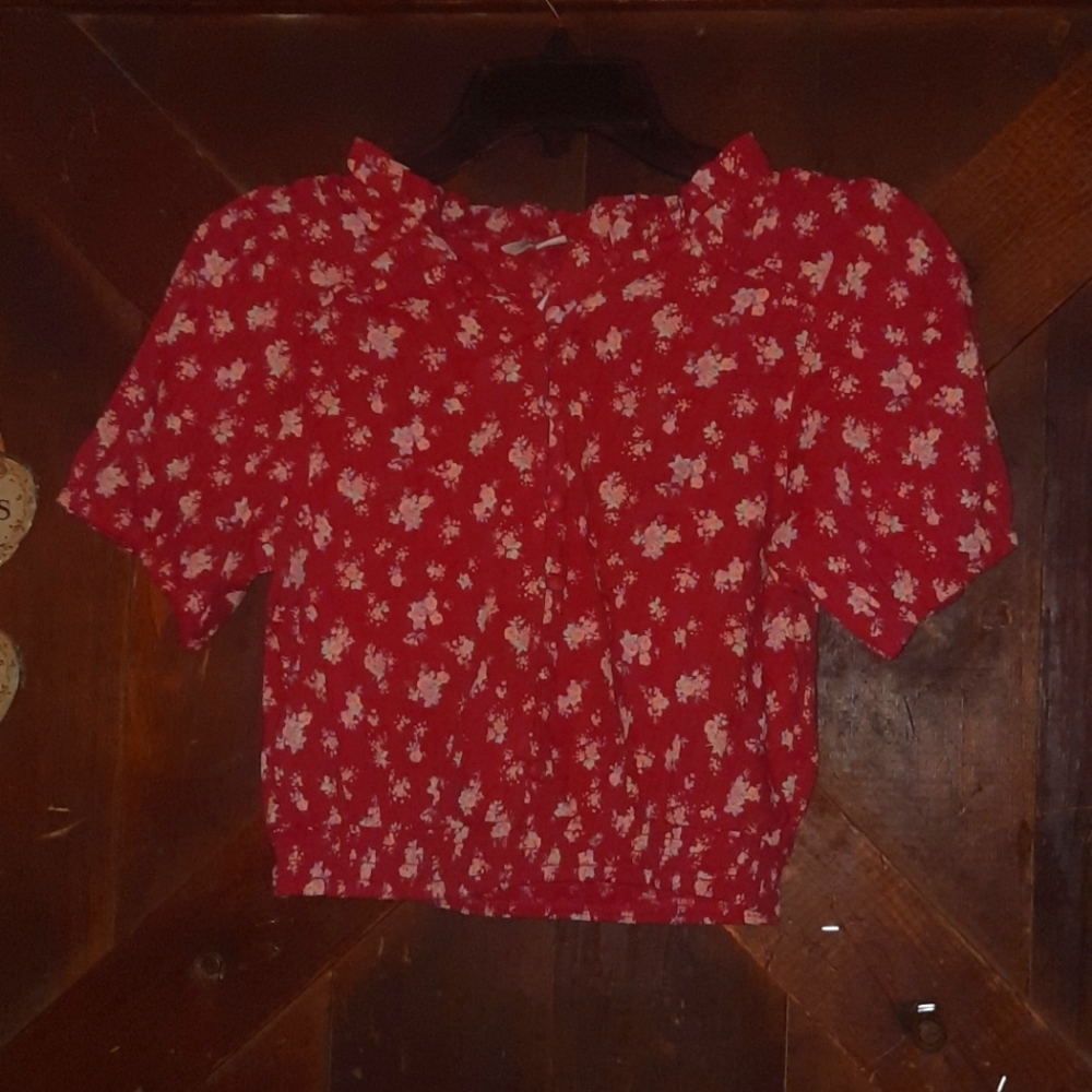 American Eagle Outfitters Crop Top Shirt
